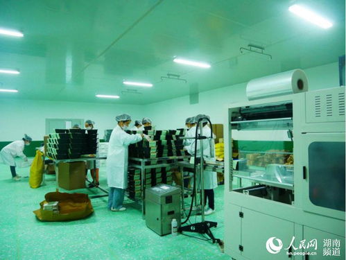 瀏陽大瑤盤活閑置花炮工區 探索產業轉型新路徑